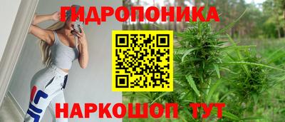 крисы Ливны