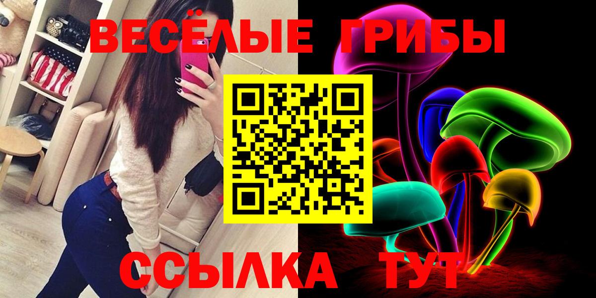 где найти   Вход с VPN  Дмитров  Псилоцибиновые грибы Magic Shrooms 