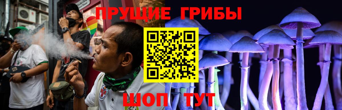 Псилоцибиновые грибы мицелий Дмитров